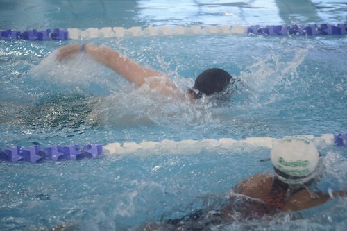 Swimming in a Gala