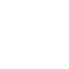NASCH Logo